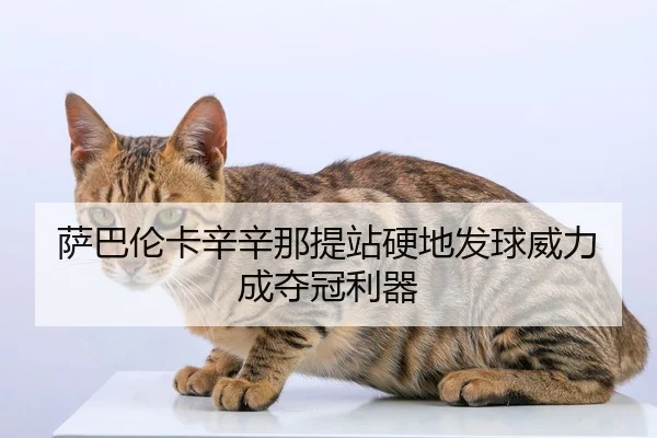 萨巴伦卡辛辛那提站硬地发球威力成夺冠利器