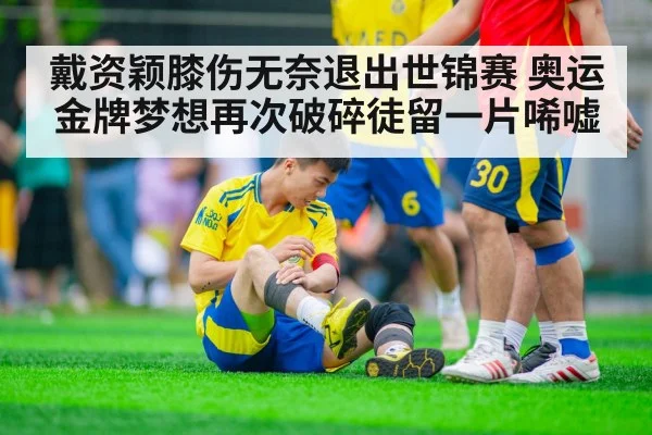 戴资颖膝伤无奈退出世锦赛 奥运金牌梦想再次破碎徒留一片唏嘘