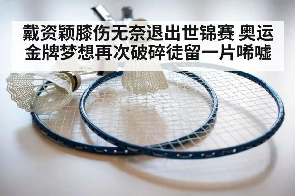 badminton racket and shuttlecock