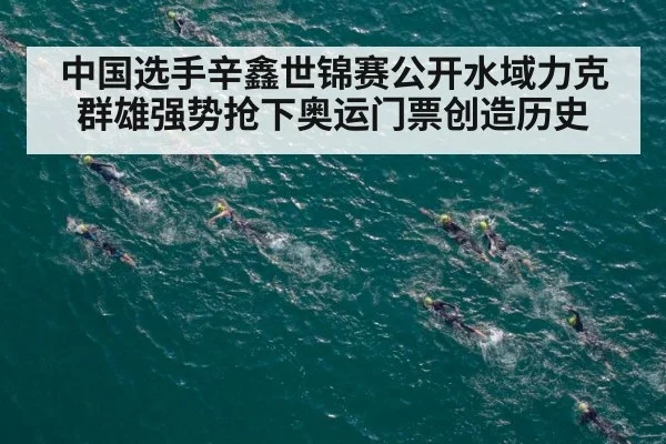 中国选手辛鑫世锦赛公开水域力克群雄强势抢下奥运门票创造历史